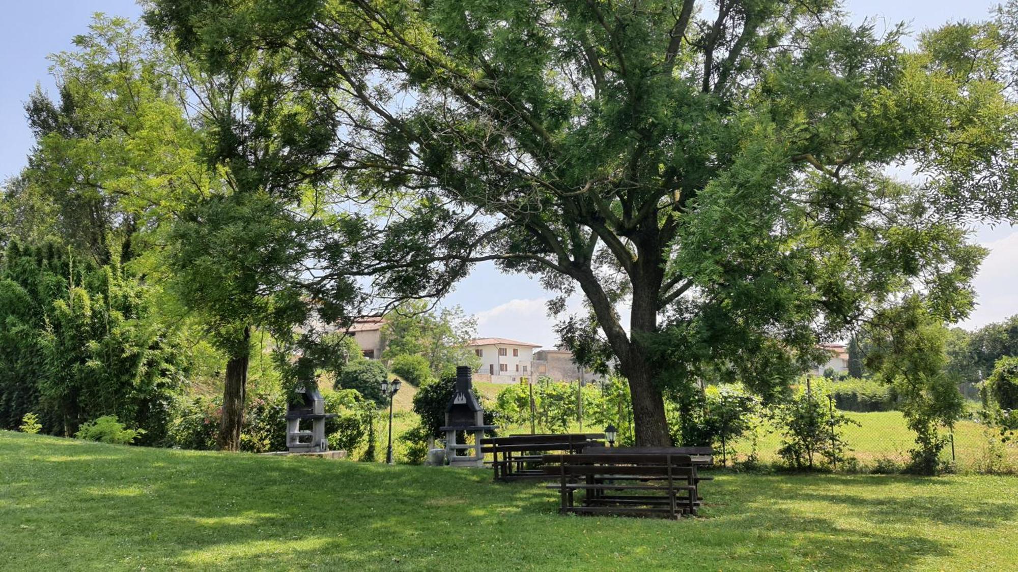 Villa Santa Caterina マネルバ・デル・ガルダ エクステリア 写真